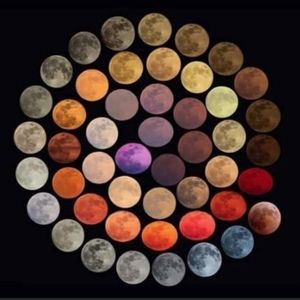 Meet your Posher, Posh